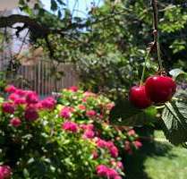 Haus zum Kaufen in Frankfurt 1.298.000,00 € 280 m²