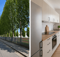 Wohnung zum Mieten in Dresden 960,00 € 51 m²