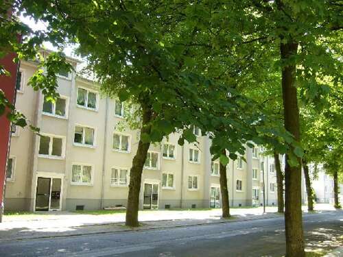 Foto - Wohnung zum Mieten in Essen 550,00 € 81.75 m²