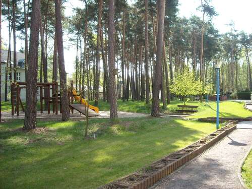 Foto - Wohnung zum Mieten in Dessau-Roßlau 335,00 € 47 m²