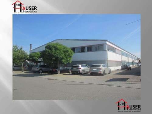 Foto - Halle in Walldorf 6.850,00 € 1010 m²