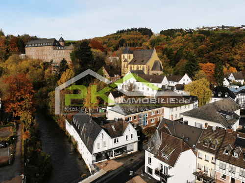 Foto - Haus zum Kaufen in Schleiden 1.330.000,00 € 620 m²