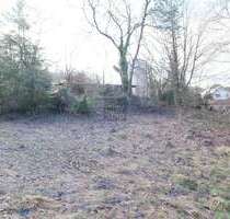 Grundstück zu verkaufen in Betzenstein 230.000,00 € 1873 m²