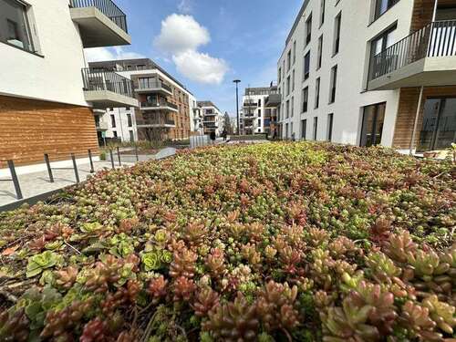Foto - Wohnung zum Kaufen in Berlin 490.550,00 € 80.62 m²