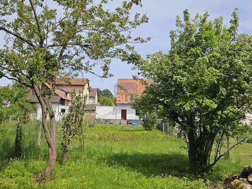 Foto - Grundstück zu verkaufen in Weingarten (Baden) 249.000,00 € 459 m²