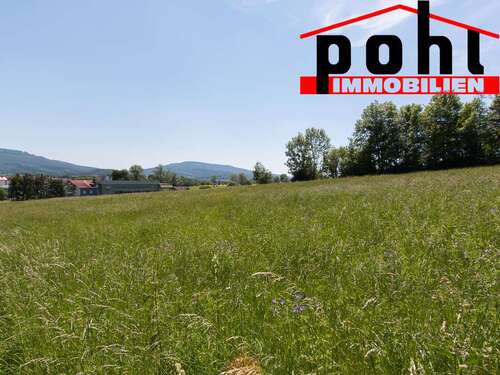 Foto - Grundstück zu verkaufen in Haina 170.000,00 € 7383 m²
