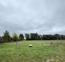 Grundstück in Weisen 29.500,00 € 1945 m²