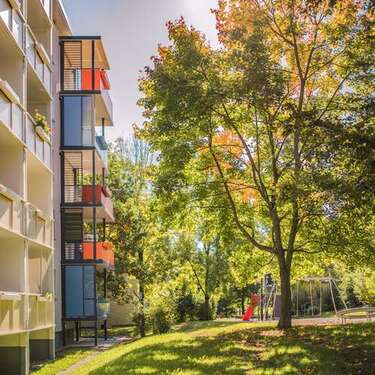 Foto - Wohnung zum Mieten in Freiberg 343,00 € 49 m²