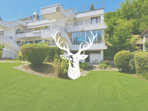 Foto - Wohnung zum Kaufen in Waldshut 179.000,00 € 53 m²