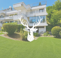 Wohnung zum Kaufen in Waldshut 179.000,00 € 53 m²