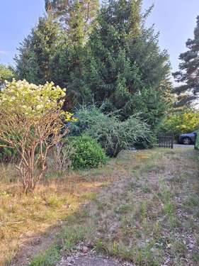 Foto - Grundstück zu verkaufen in Grünheide 115.000,00 € 850 m²