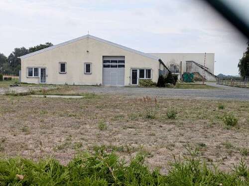 Foto - Halle in Lampertswalde 1.200.000,00 € 2500 m²