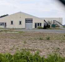 Halle in Lampertswalde 1.200.000,00 € 2500 m²