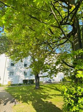 Foto - Wohnung zum Kaufen in Walldorf 249.000,00 € 83 m²
