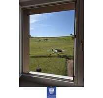 Wohnung zum Mieten in Niederstriegis 199,00 € 58.7 m²