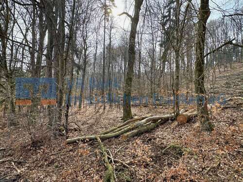 Foto - Grundstück in Treuchtlingen 29.349,00 € 10870 m²