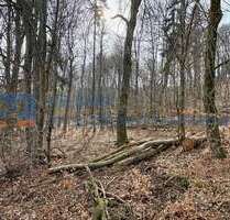 Grundstück in Treuchtlingen 29.349,00 € 10870 m²