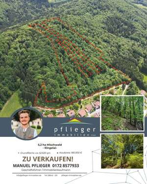 Foto - Grundstück in Ringelai 180.000,00 € 51600 m²