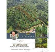Grundstück in Ringelai 180.000,00 € 51600 m²