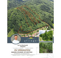 Grundstück in Ringelai 150.000,00 € 51600 m²