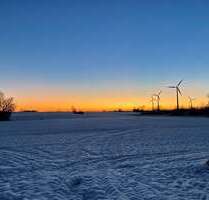 Grundstück in Schildberg 220.000,00 € 55009 m²