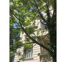 Wohnung zum Kaufen in Wiesbaden 271.000,00 € 66.9 m²