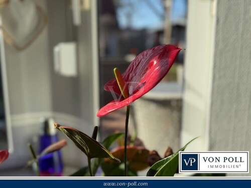 Foto - Haus zum Kaufen in Wathlingen 375.000,00 € 110 m²