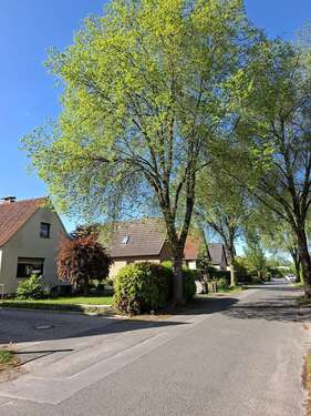 Foto - Grundstück zu verkaufen in Halstenbek 390.000,00 € 447 m²
