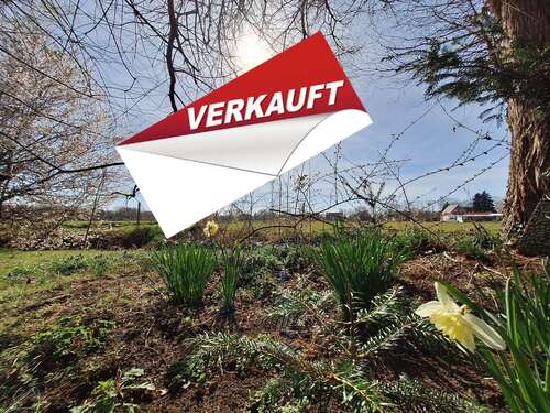 Foto - Haus zum Kaufen in Weener 285.000,00 € 158 m²