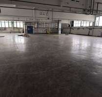 Halle in Meinerzhagen 2.175,00 € 1450 m²