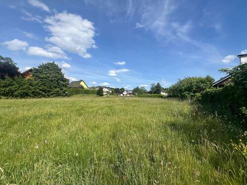 Foto - Grundstück zu verkaufen in LichtenbergErzgebirge 65.000,00 € 1422 m²