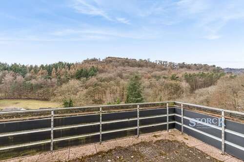 Foto - Haus zum Kaufen in Wilgartswiesen 389.000,00 € 142 m²