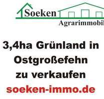 Grundstück in Großefehn 65.000,00 € 34174 m²