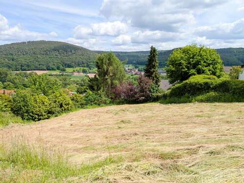 Foto - Grundstück zu verkaufen in Höchst 189.000,00 € 1149 m²