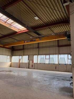 Foto - Halle in Hörstel 1.549,00 € 250 m²