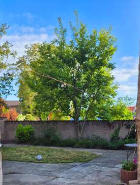 Foto - Haus zum Kaufen in Nienburg (Saale) 100.000,00 € 80 m²