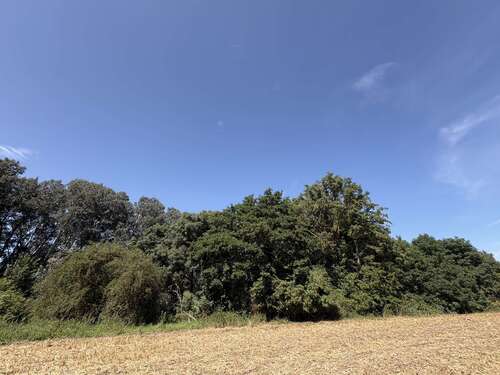 Foto - Spezialgewerbe in Prenzlau Wollenthin 22.000,00 € 19478 m²
