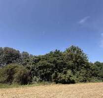 Spezialgewerbe in Prenzlau Wollenthin 22.000,00 € 19478 m² - Prenzlau / Wollenthin