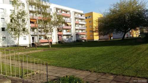 Foto - Wohnung zum Mieten in Magdeburg 320,00 € 56.27 m²