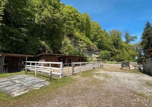 Foto - Haus zum Kaufen in Laufen 890.000,00 € 220 m²