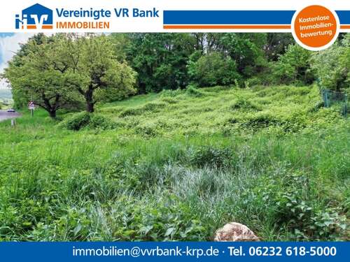 Foto - Grundstück zu verkaufen in Dannenfels 99.500,00 € 1185 m²