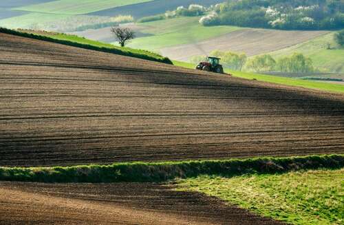 Foto - Grundstück in Creglingen Finsterlohr 69.000,00 € 12954 m²