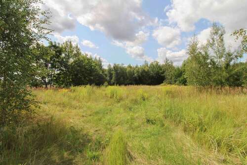 Foto - Grundstück zu verkaufen in Chemnitz 222.000,00 € 1200.2 m²