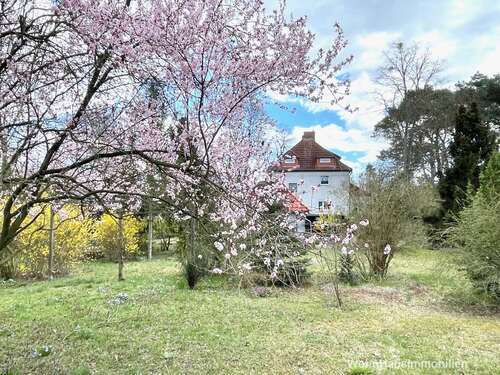 Foto - Haus zum Kaufen in Bergholz-Rehbrücke 699.000,00 € 250 m²