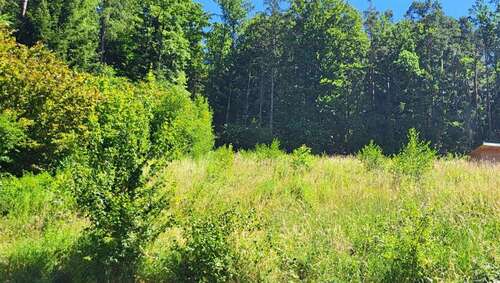 Foto - Grundstück zu verkaufen in Pettendorf , Oberpf 729.000,00 € 1418 m²