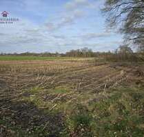 Grundstück in Friesoythe 77.450,00 € 7745 m²