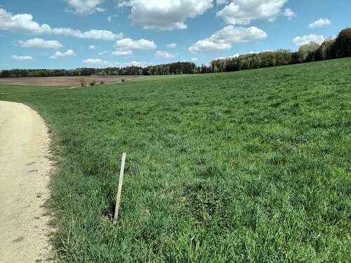 Foto - Grundstück in Treuchtlingen - Gundelsheim 165.000,00 € 40444 m²
