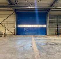 Halle in Ramstein-Miesenbach 1.100,00 € 240 m²