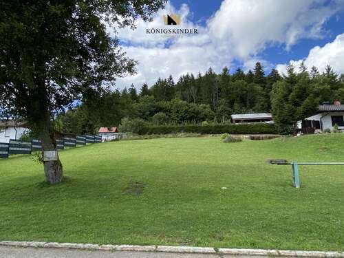 Foto - Grundstück zu verkaufen in Wehingen 125.000,00 € 650 m²