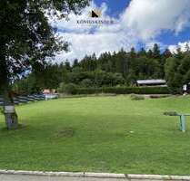 Grundstück zu verkaufen in Wehingen 125.000,00 € 650 m²